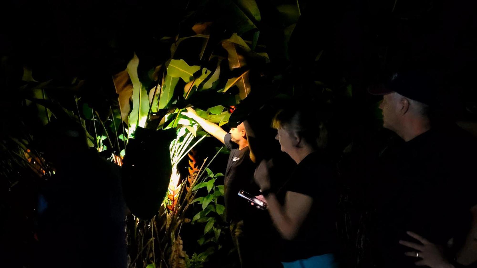 Chalets Silencio Del Bosque La Fortuna المظهر الخارجي الصورة